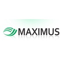 Maximus Brand Chennai